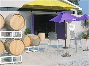 Tiger Mountain Winery Tasting room